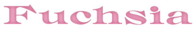 Customer Logo